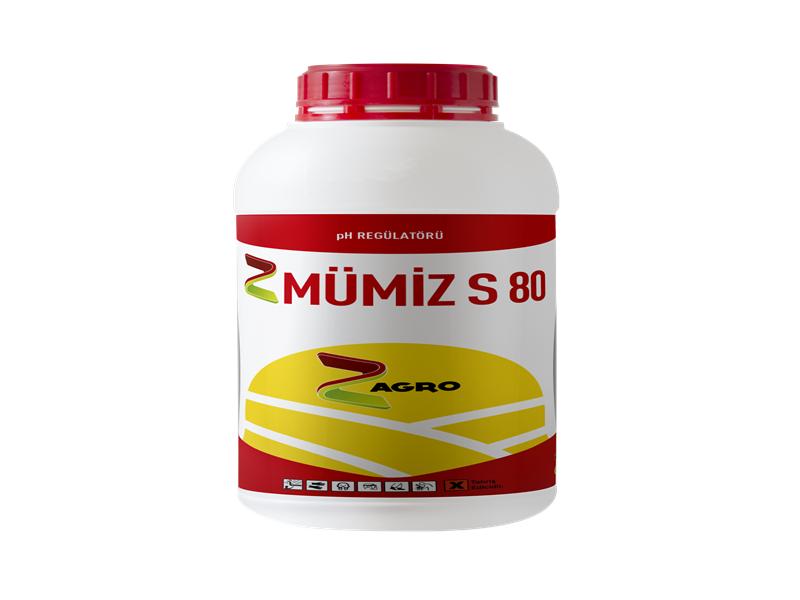 MÜMİZ S80