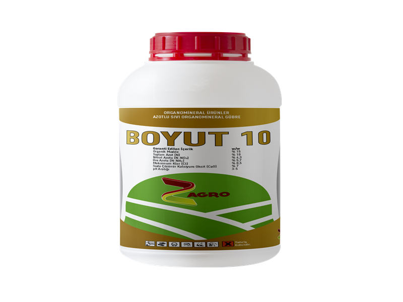 BOYUT 10