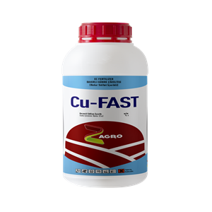 CU-FAST